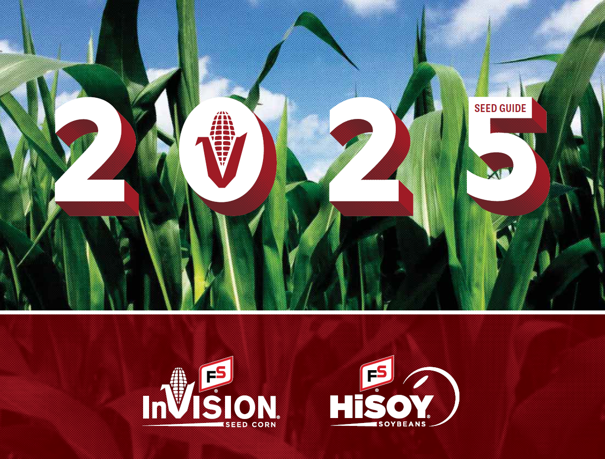 InVision-HiSoy-cover-2025